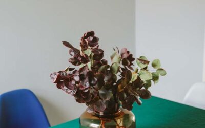 7 Yearly Business Planning Tips For When it Feels Hard